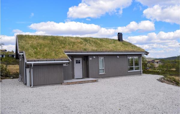 写真にはHovden市にあるAwesome Home In Rauland With Kitchenが写っています。