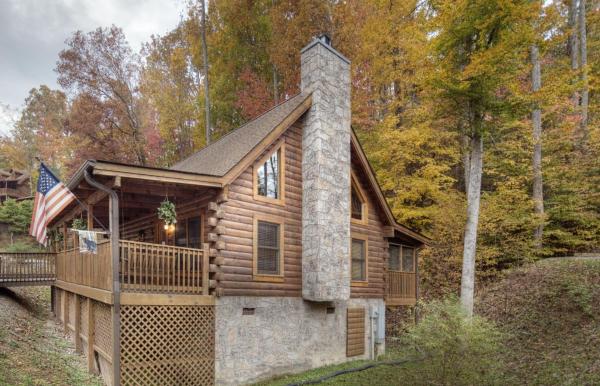 Billede 1: ER302 - Best of Times Great Location-Close to Town cabin