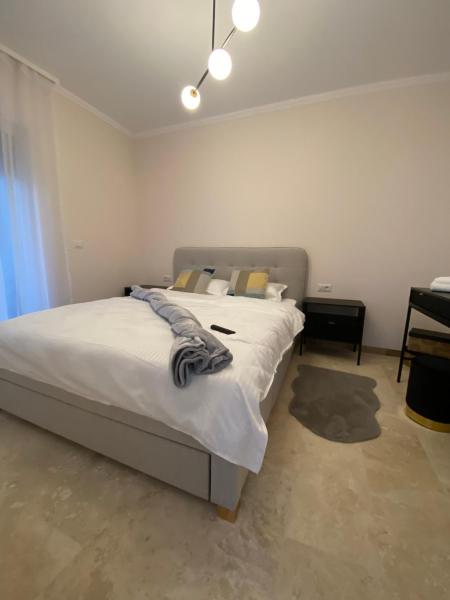 写真にはティミショアラ市にあるApartament Timisoara 5が写っています。