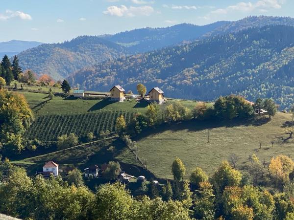 På billedet ses objektet Zlatar Lake Hill beliggende i byen Amzići.