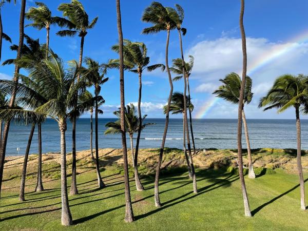 Billede 8: Oceanfront, Gorgeous Sunsets, Dual AC, King Bed, Top Floor Views, Impeccably Remodeled Gem HKOK318