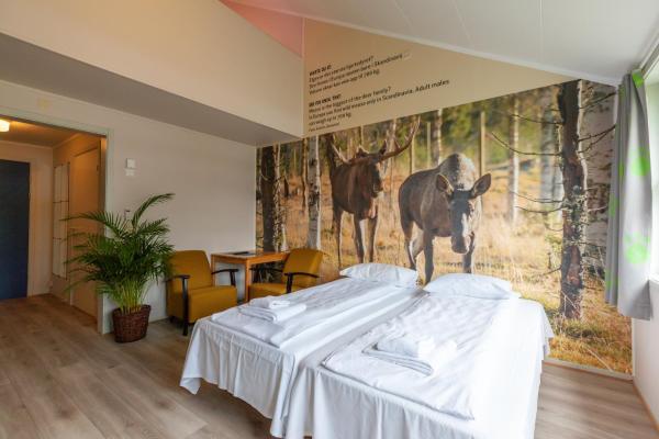 The photo shows the Namsskogan Familiepark & Hotell located in the city of Trones.