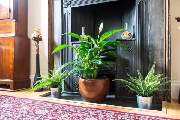 Billede 6: charm & character on historic Rose Street
