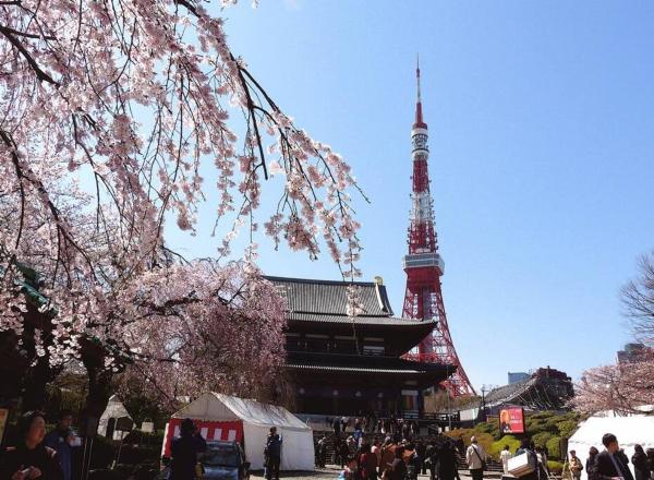 Auf dem Foto ist das Objekt Mochida's Guest House in der Stadt Tokio zu sehen.