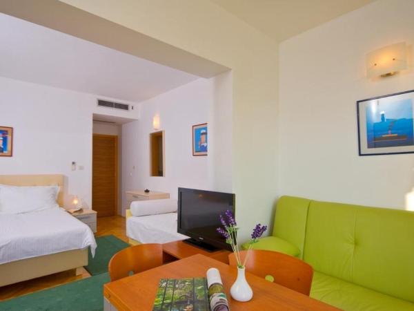 Foto 3: Studio apartment in Brela with a sea view, terrace, air conditioning, WiFi 201-9