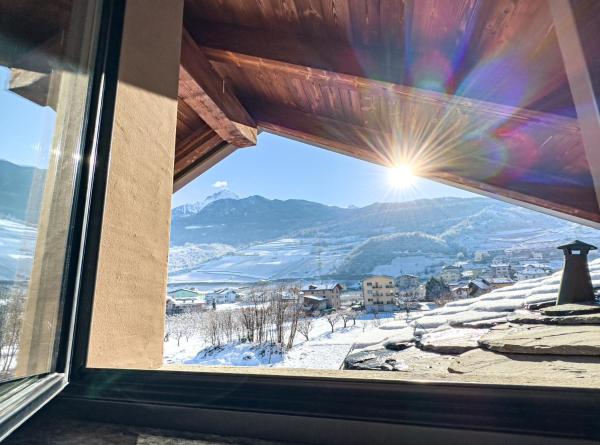 Photo 3 : Hérisson