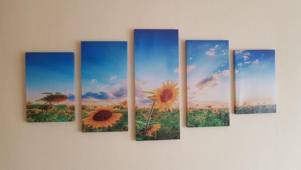 Foto 1: Sunflower