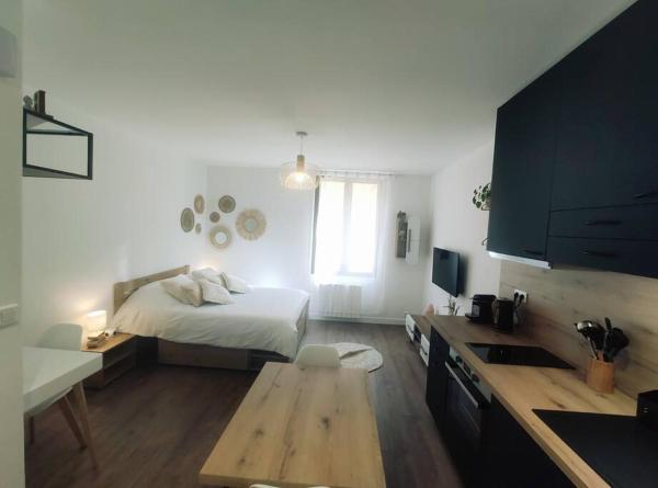 Annecy vieille ville, superbe appartement au calme, Annecy