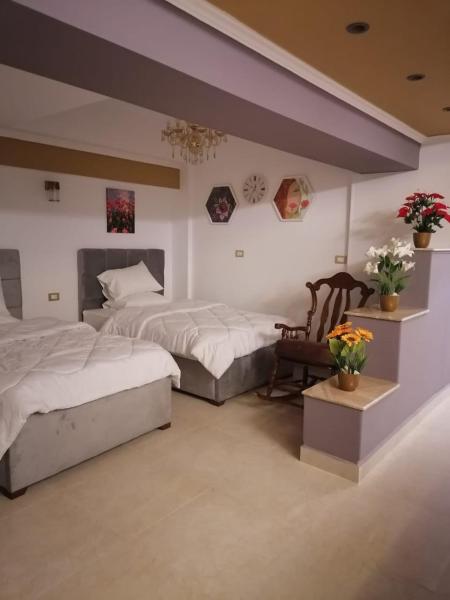 Nella foto è visibile l'oggetto Cozy fully furnished studio situato nella città di Il Cairo.