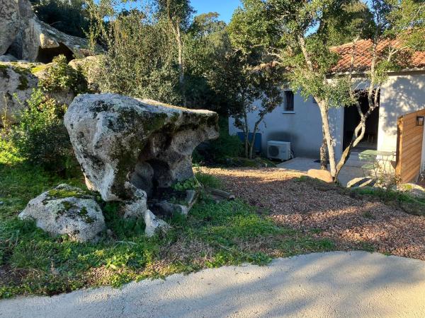A la foto es mostra l'objecte studio rocca situat a la ciutat de Sotta.