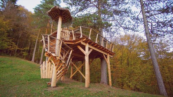 Foto 2: Pine Point