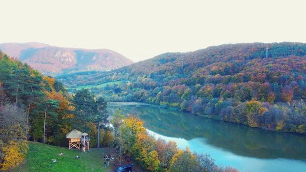 Foto 9: Pine Point