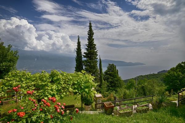 Nella foto è visibile l'oggetto Casa Mamma Gisella - Theater Home situato nella città di Tignale.