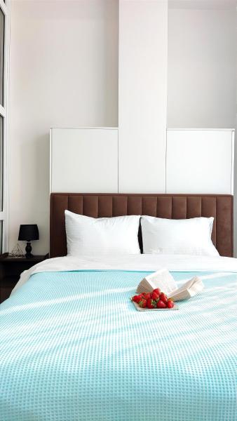 1,5 Bedroom downtown Chișinău, Кишинёв