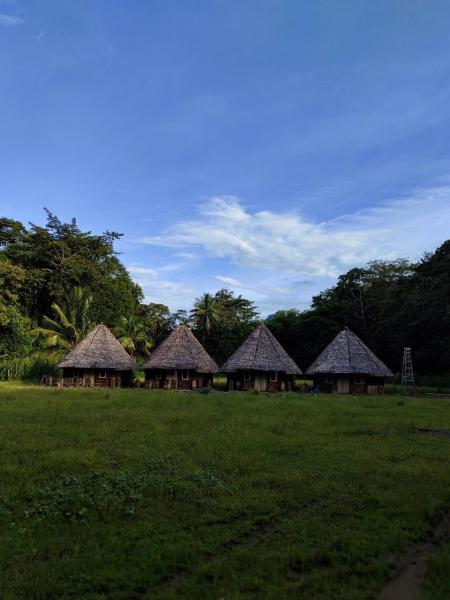 Na fotografii je vidět objekt Pekkae ecolodge and cafe nacházející se ve městě Barru.