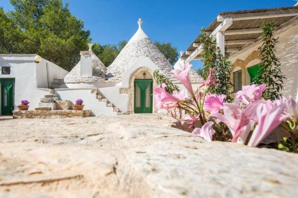 Il Trullo Dell'ulivo Bianco - San Vito dei Normanni