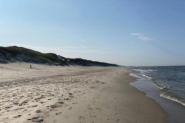 Bas, strandhuisje op 900 meter van zee & strand! photo 4
