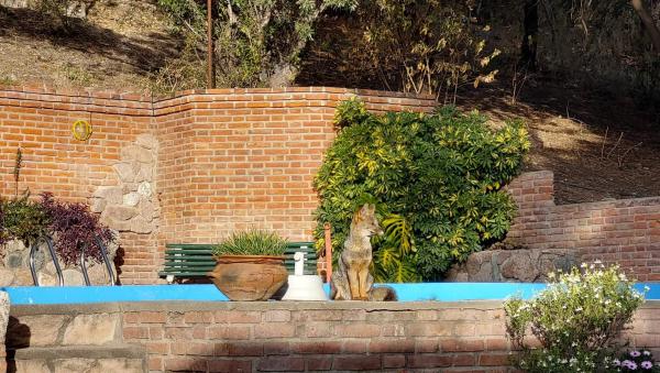 A la foto es mostra l'objecte El Solar de los Pájaros situat a la ciutat de Merlo.