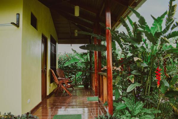 Arenal Descanso, Фортуна