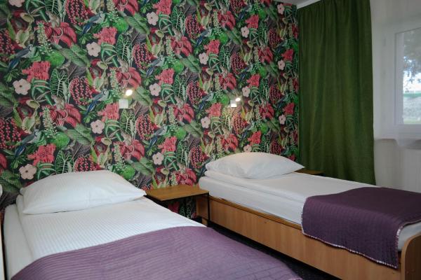 Na zdjęciu widoczny jest obiekt Hotel George położony w mieście Kosow.