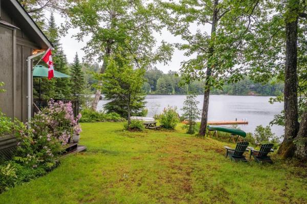Fotografie 5: Bear Essentials Hideaway