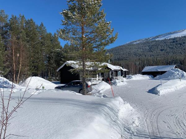 A la foto es mostra l'objecte Nymon Mountain Lodge situat a la ciutat de Stöten.