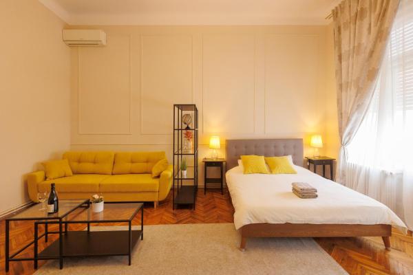写真にはティミショアラ市にあるSpacious Flat in Old Town Wi-Fiが写っています。