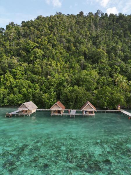 På billedet ses objektet Terimakasih homestay beliggende i byen Pulau Mansuar.