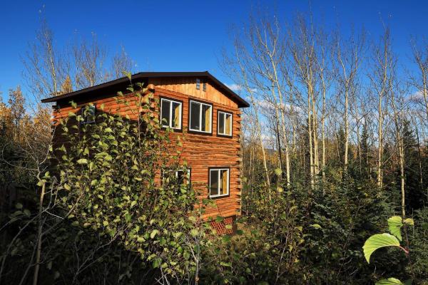 Na fotografii je vidět objekt Denali Park View Family Log Cabin nacházející se ve městě McKinley Park.