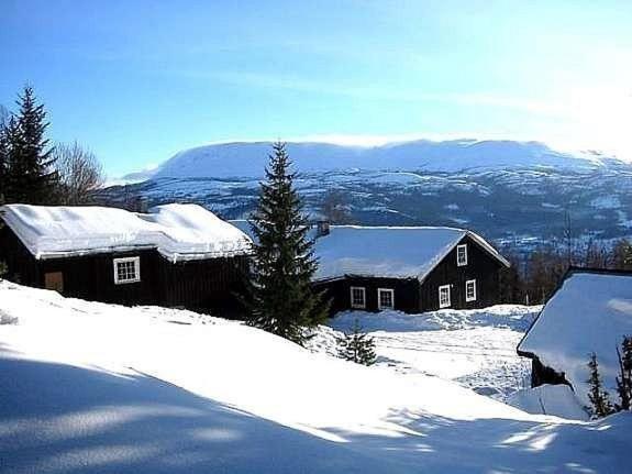 A la foto es mostra l'objecte Hjartdal Fjellstoge & Storhytte situat a la ciutat de Flatdal.
