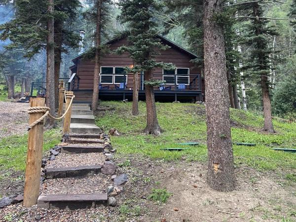 Billede 6: Carson Cabin - King Beds, Mountain Views, Mins to Town