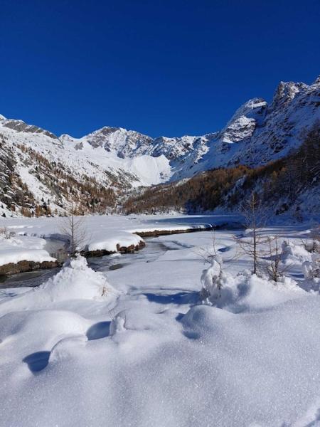 Na fotografii je vidět objekt La casetta in Val Masino nacházející se ve městě Cataeggio.