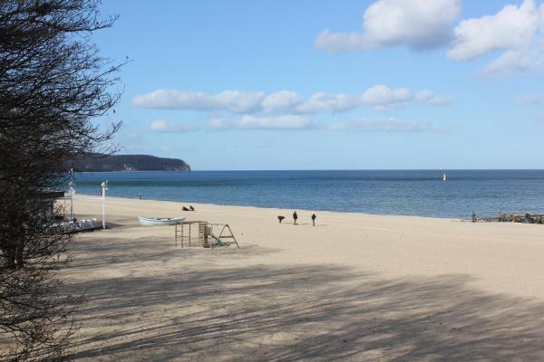 A la foto es mostra l'objecte Park situat a la ciutat de Sopot.
