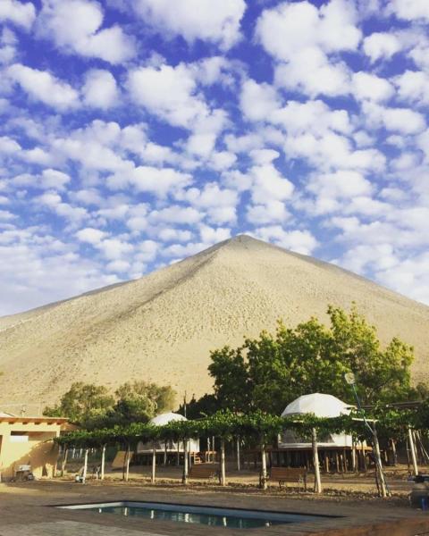 A la foto es mostra l'objecte Glamping Viñas de Elqui situat a la ciutat de Vicuña.