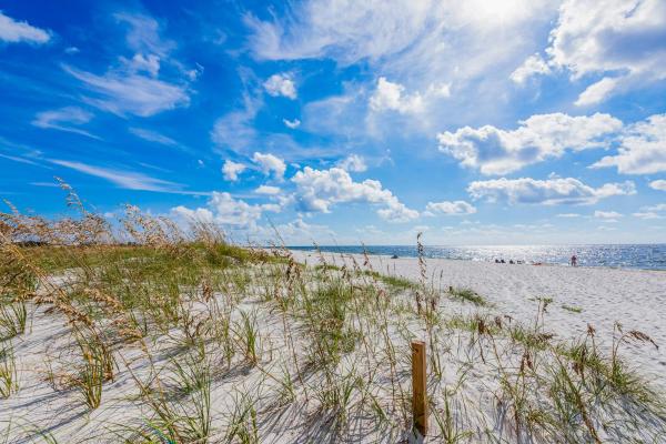 Zdjęcie 3: Pretty in Perdido Key
