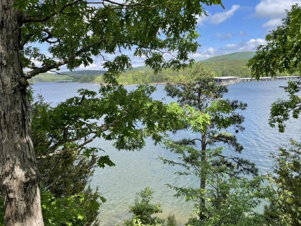 Bild 5: C17 - Lake view three bedroom, three bath log-sided cottage with private hot tub overlooking Lake Ouachita
