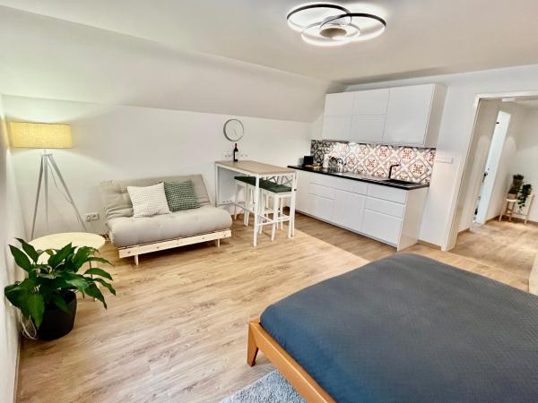 Na fotografii je vidět objekt Apartmány Dlouhá nacházející se ve městě Košín.