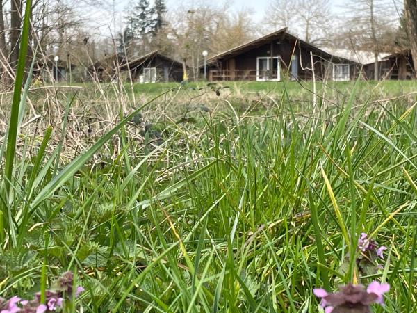 På billedet ses objektet CAMPING DE LA CHALARONNE beliggende i byen Mogneneins.
