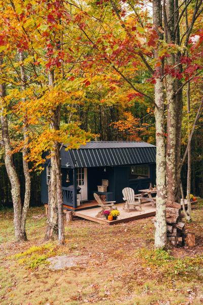 Na fotografii je vidět objekt Mountain Brook Cabin nacházející se ve městě Andes.
