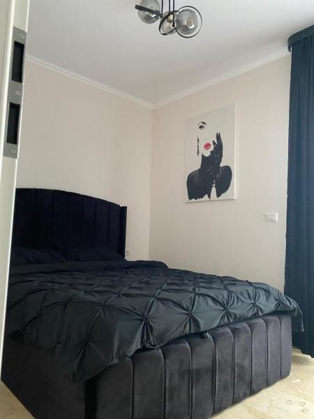 På bildet vises objektet Apartament Timisoara 4 som ligger i byen Timişoara.