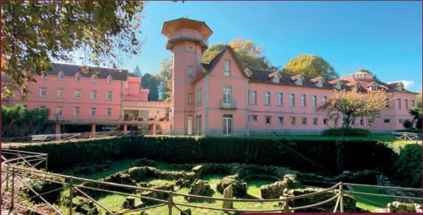 A la foto es mostra l'objecte Palace Hotel & Spa - Termas de Sao Vicente situat a la ciutat de Penafiel.
