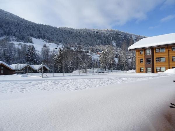 Foto 7: Actif 106 - Hallingheim apartment ski inn/ski ut