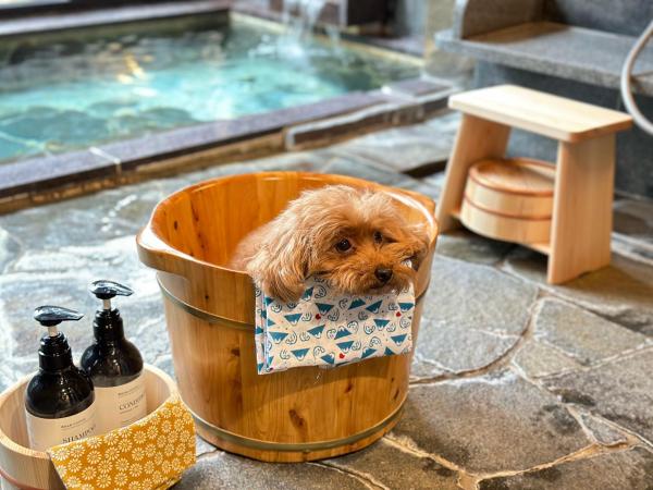 La photo montre l'objet Doggy's Izujogasaki situé dans la ville de Itō.
