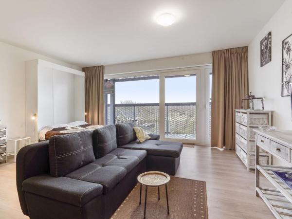 Spacious studio with storage room, Бланкенберге