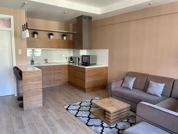 A la foto es mostra l'objecte City Center Apartment situat a la ciutat de Katowice.