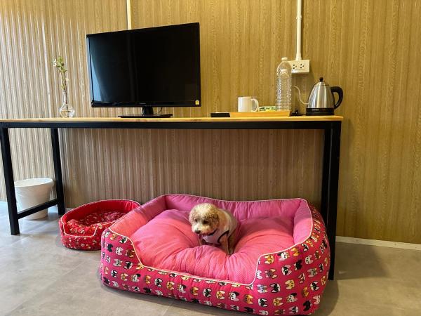 Foto 8: Kinnotel