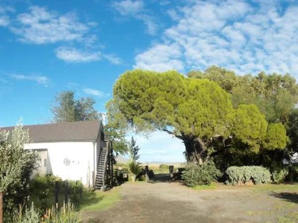 På bilden syns objektet Erin Farmhouse & Cottages som ligger i staden Middelburg.
