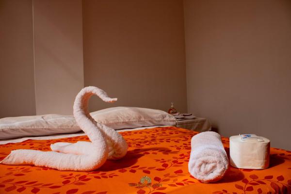 A la foto es mostra l'objecte Hinkiori Inn - Hotel Manu situat a la ciutat de Pillcopata.