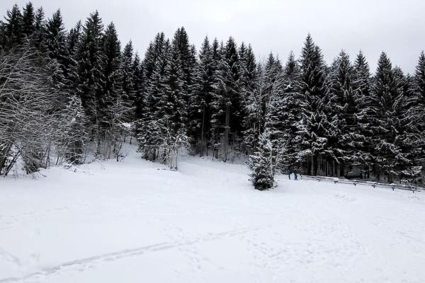 Fotografia 3: Cocon à chatel