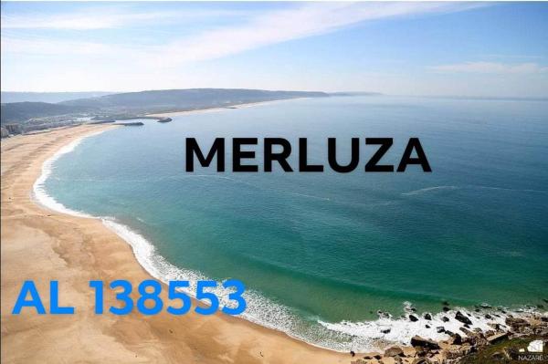 Merluza - São Martinho do Porto